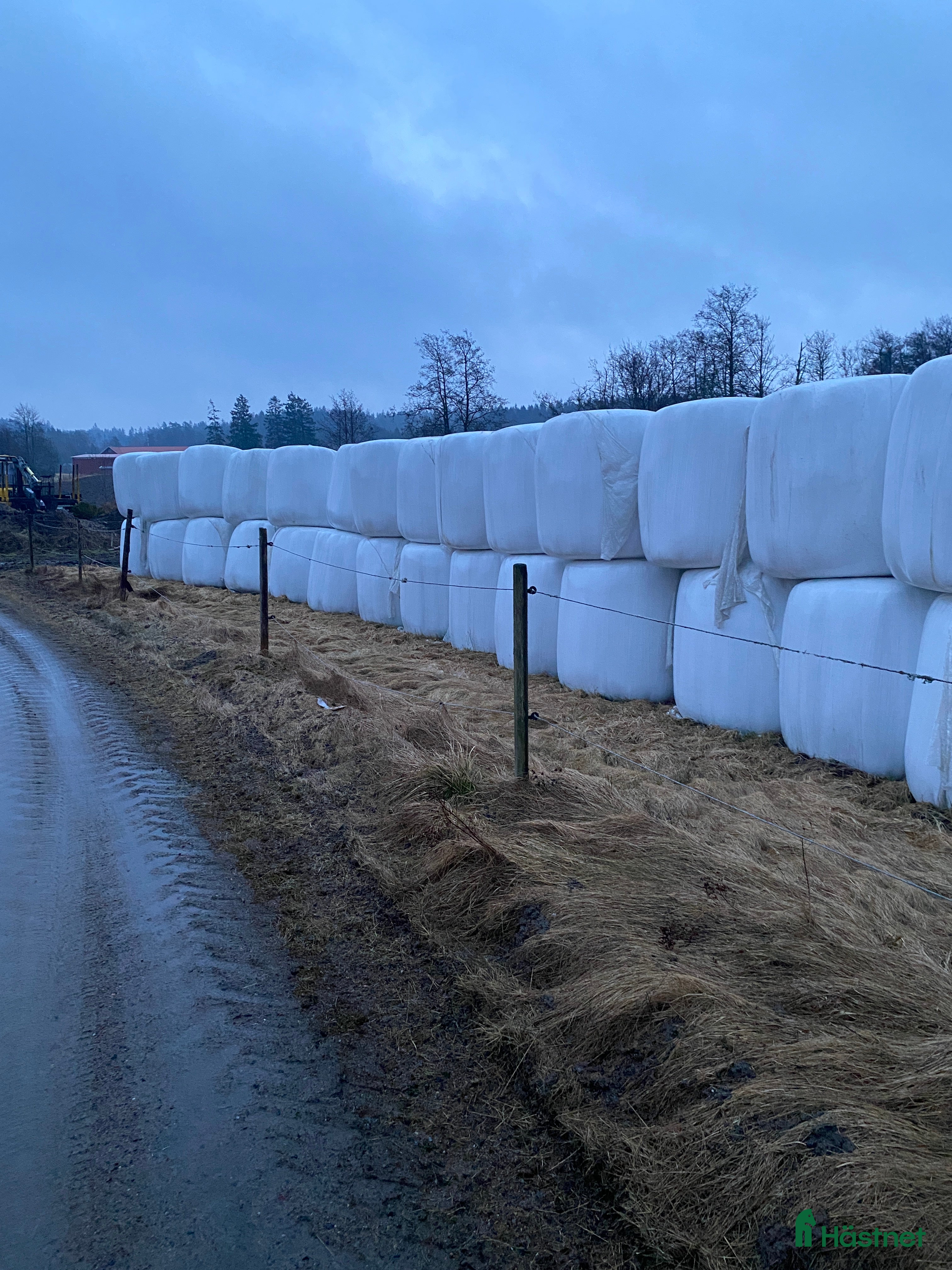  hästservice Hösilage - Annons 1