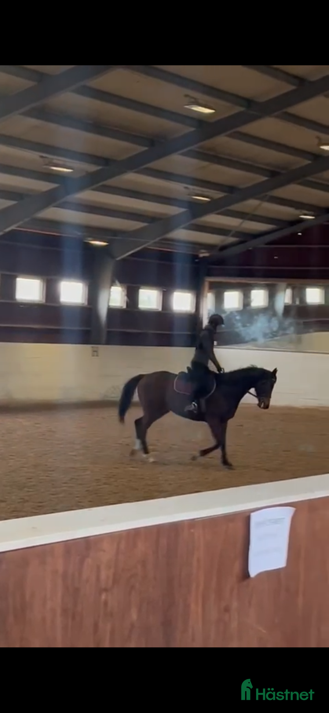 Allround hästar till salu: Vackert Fullblodssto i Vendelsö - Annons 3