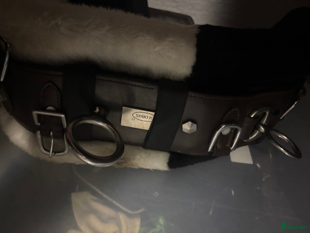 Övrig Hästutrustning hästutrustning till salu: Tömkörningsgjord & lädertömmar i Västerhaninge - Annons 2