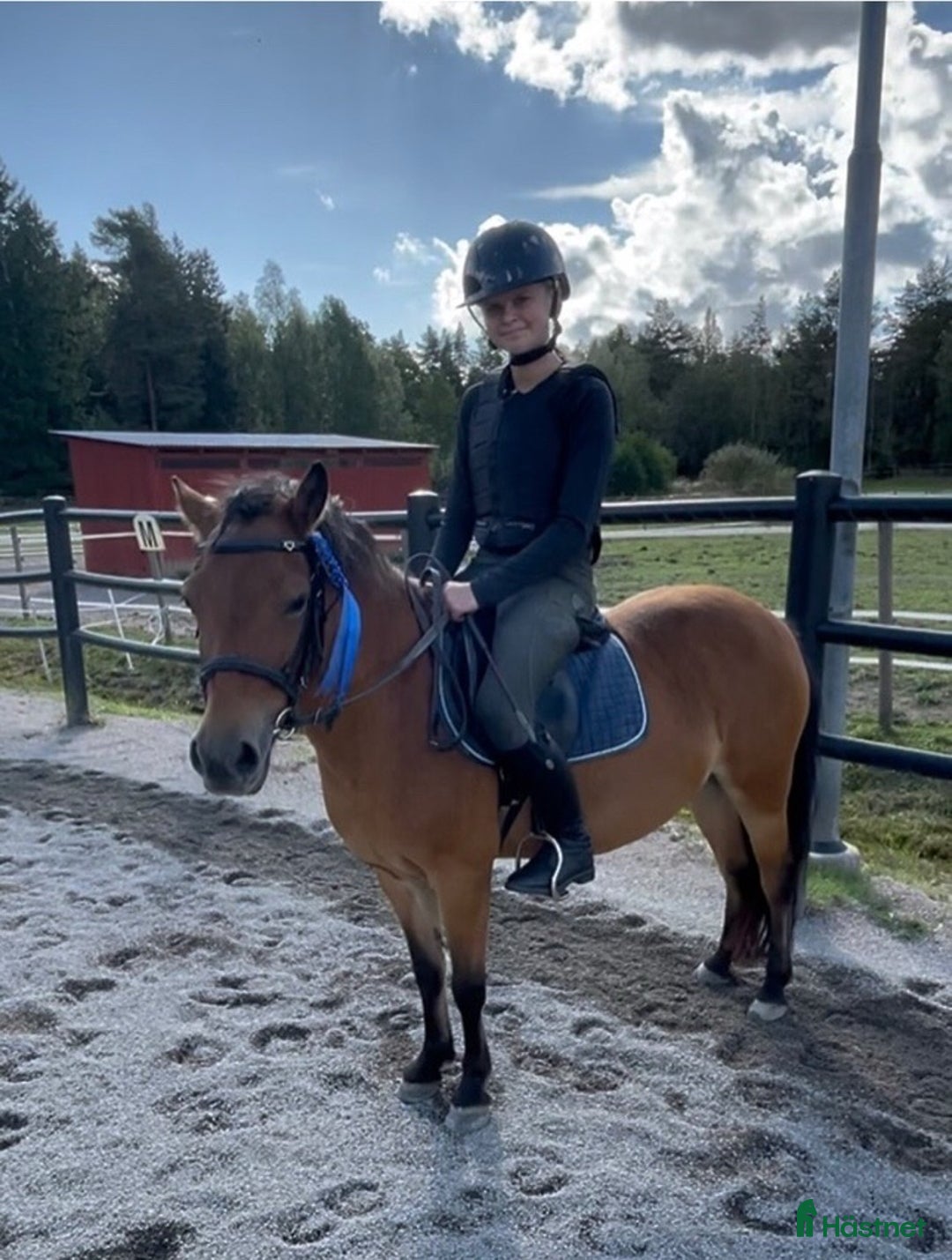  medryttarhäst sökes: Medryttarhäst sökes i Mariestad - Annons 2