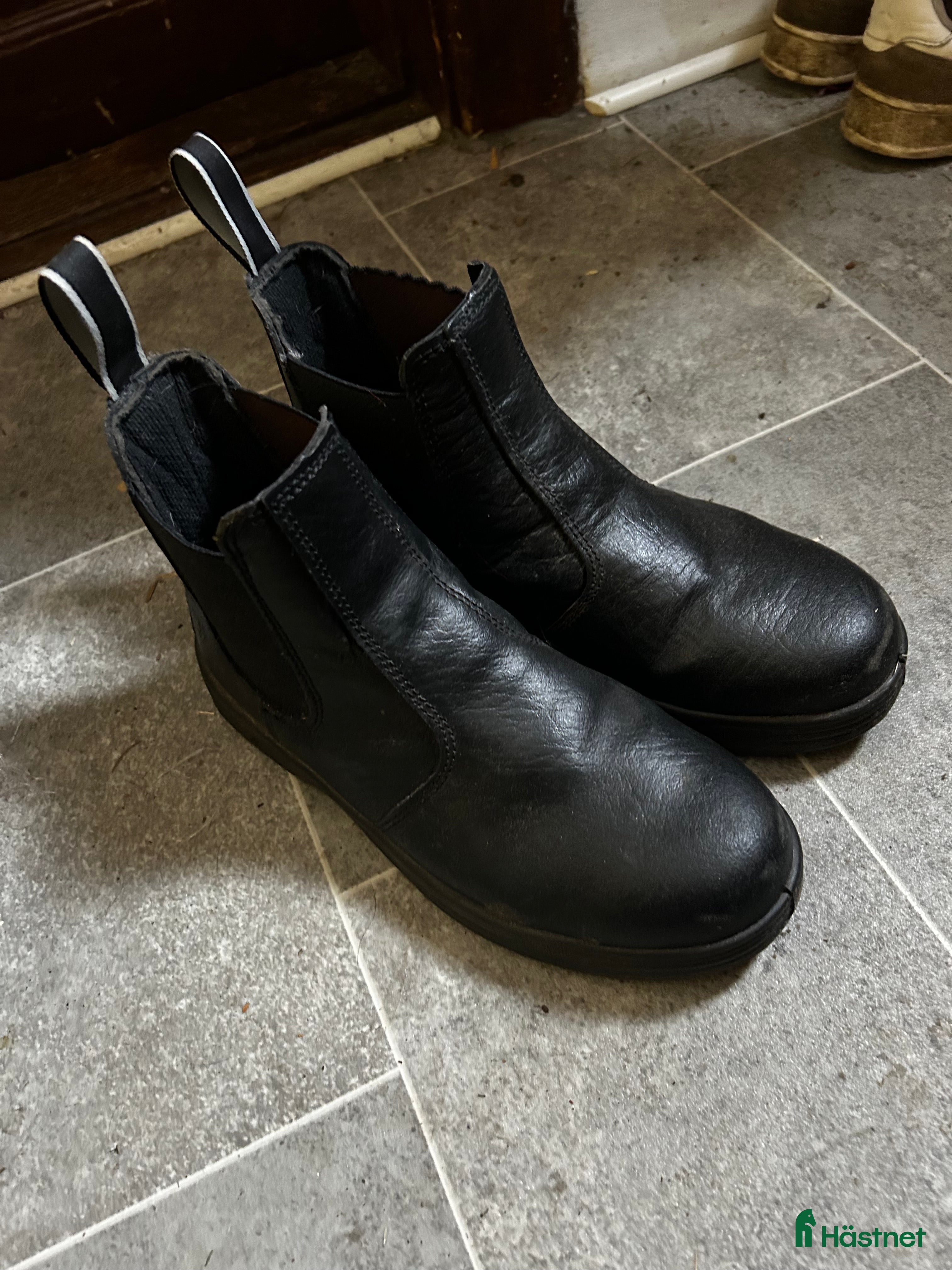 Övrig Ryttarutrustning ryttarutrustning till salu: Skor med stålhätta  i Hörby - Annons 2
