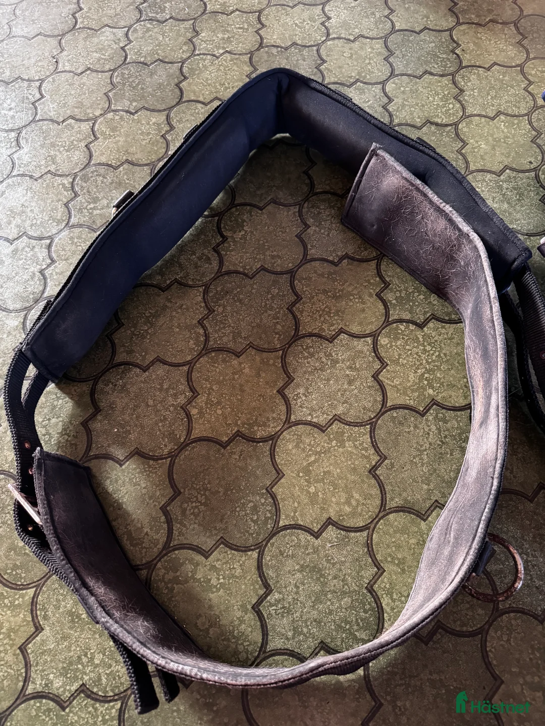 Övrig Hästutrustning hästutrustning till salu: Hästutrustning  i Kalmar - Annons 19