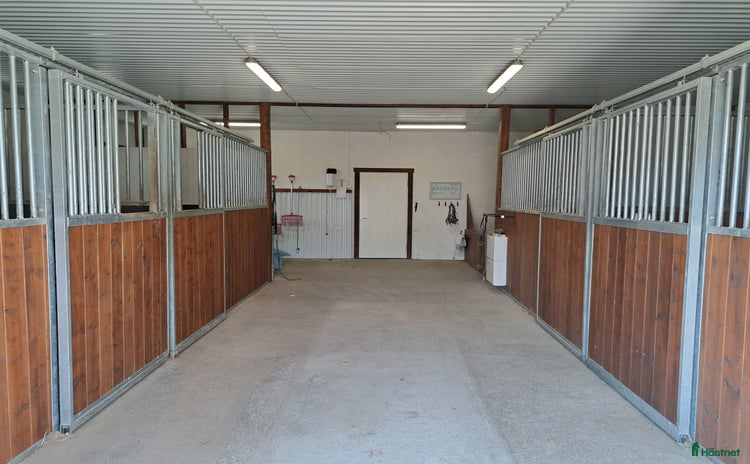 Stallinredning, stängsel & gård övrig utrustning till salu i Norrala - Annons 11