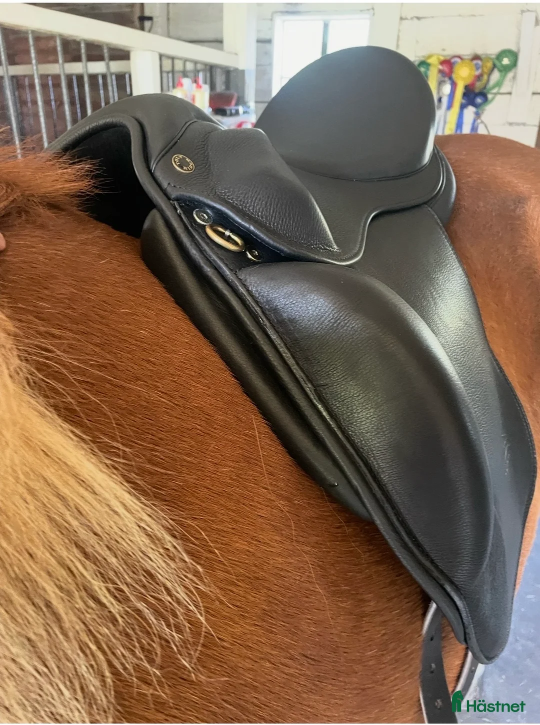 Sadlar hästutrustning till salu: Mycket fin Töltrider Glampi sadel - Annons 2
