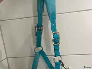 Övrig Hästutrustning hästutrustning till salu: Fin grimma! i Ramlösa - Annons 20