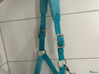 Övrig Hästutrustning hästutrustning Fin grimma! i Ramlösa - Annons 24