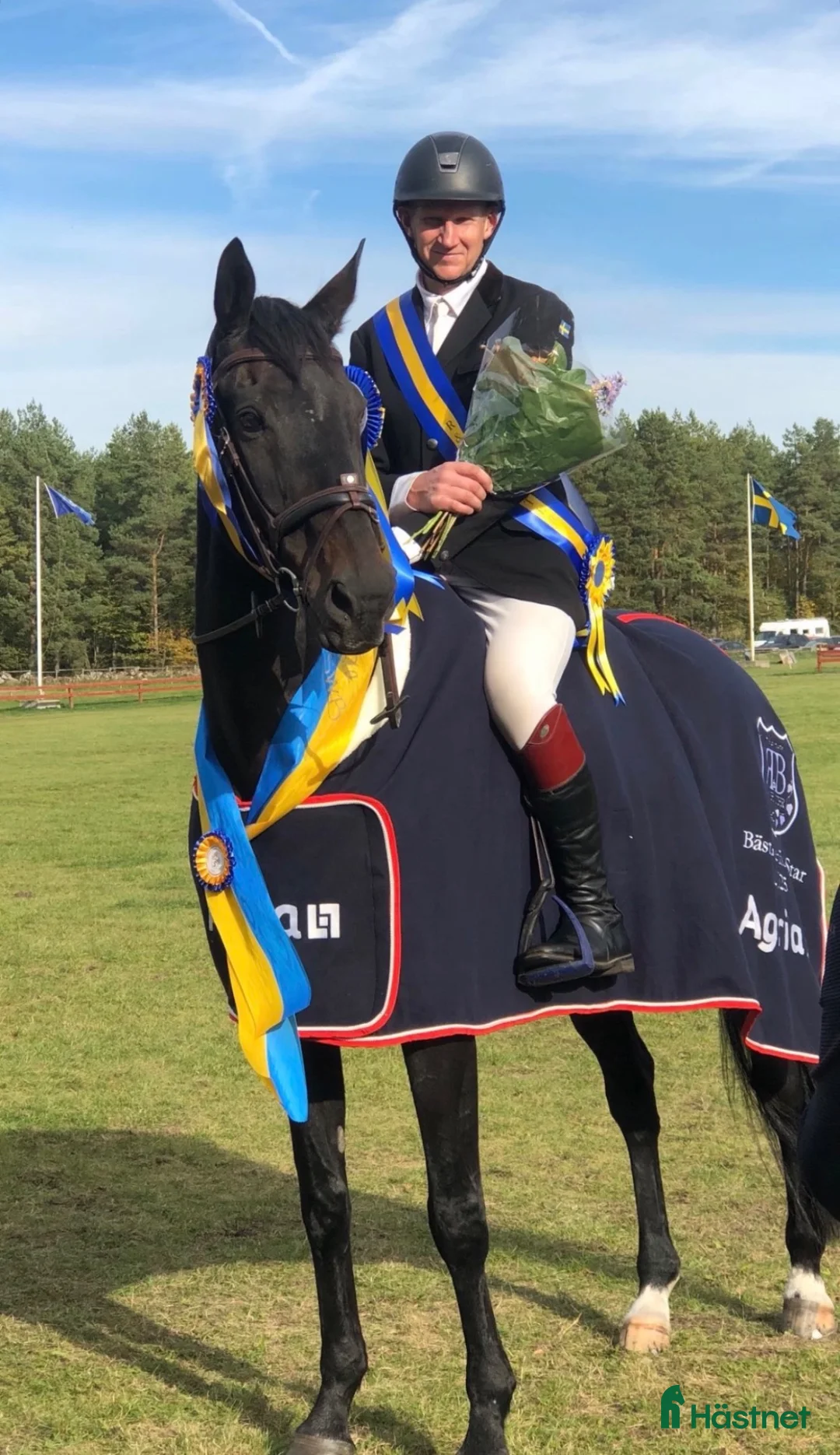 Allround hästar till salu: Underbar häst med största hjärtat!🌸 - Annons 2