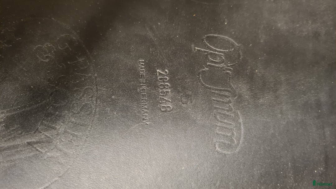 Sadlar hästutrustning till salu: Passier Optimum i Hamneda - Annons 3