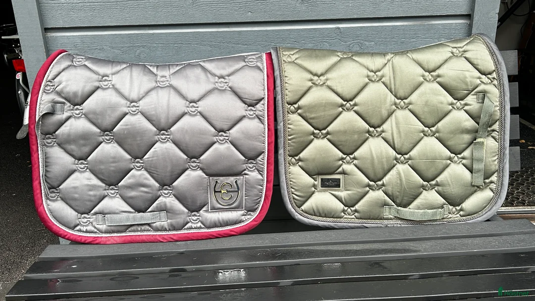 Övrig Hästutrustning hästutrustning till salu: Diverse hästutrustning i Halmstad - Annons 1