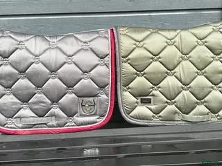 Övrig Hästutrustning hästutrustning Diverse hästutrustning i Halmstad - Annons 1