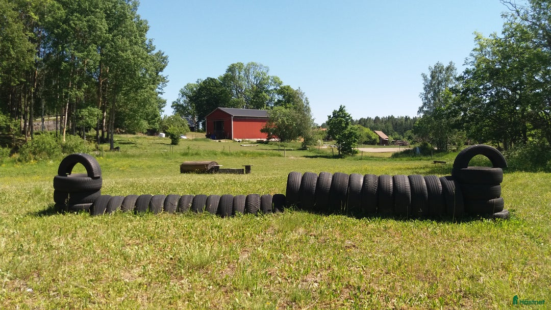  stallplats finnes: Lösdrift där hästar får vara hästar. i Tjällmo - Annons 15