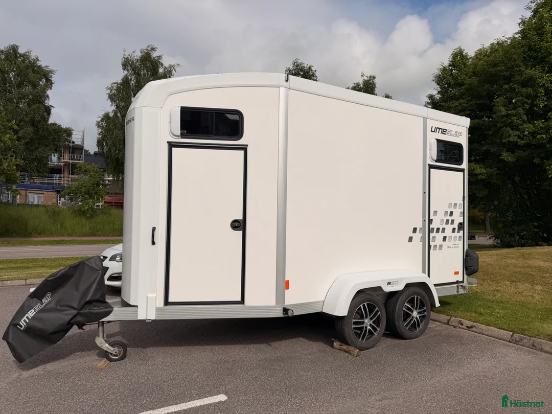 Hästtransporter  fordon & transport till salu: Umesläp B50 - Ett bakåtvänt hästsläp - Annons 2