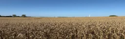  foderhäst sökes: Sommarbete och fodervärd i Romakloster - Annons 2