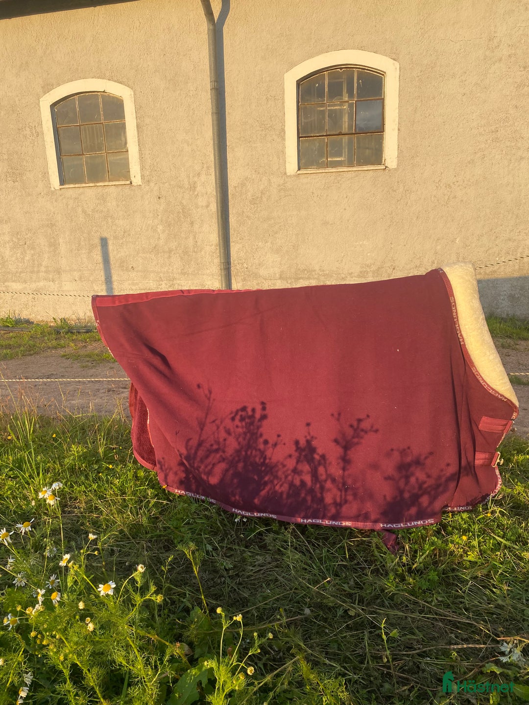 Täcken hästutrustning till salu: Vinrött tävlings täcke  i Hörby - Annons 1