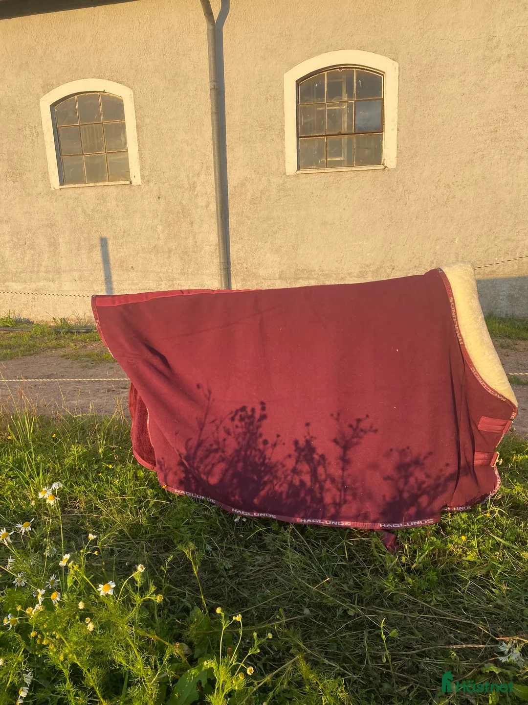 Täcken hästutrustning till salu: Vinrött tävlings täcke  i Hörby - Annons 1