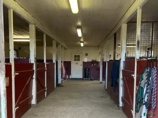 stallplats Stallplats i Hajom - Annons 22