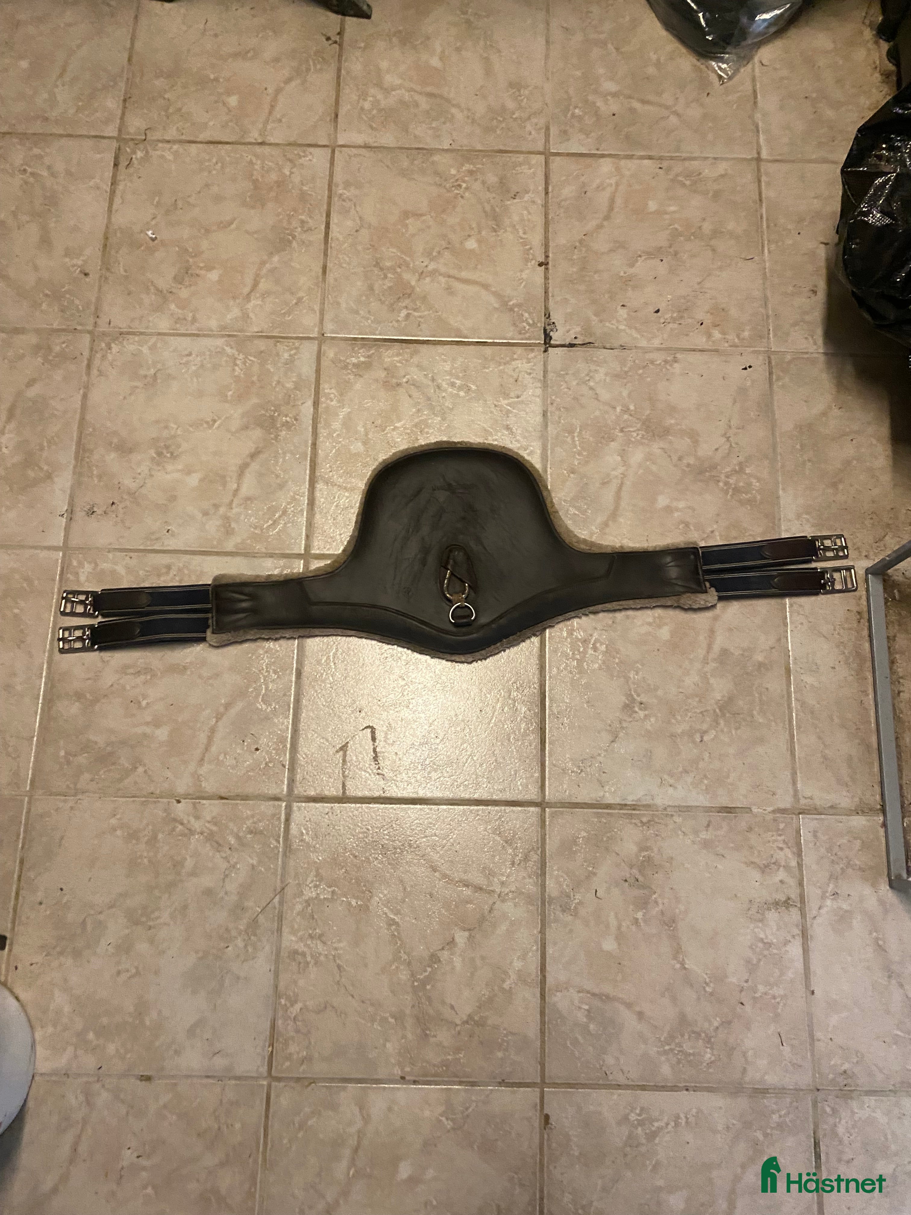 Sadeltillbehör hästutrustning Begagnad sadelgjord med fluff i Hörby - Annons 12