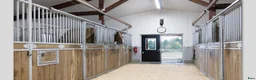  stallplats finnes: 🌿Semesteruppstallning på Steninge By –Equiworks🐴 - Annons 3