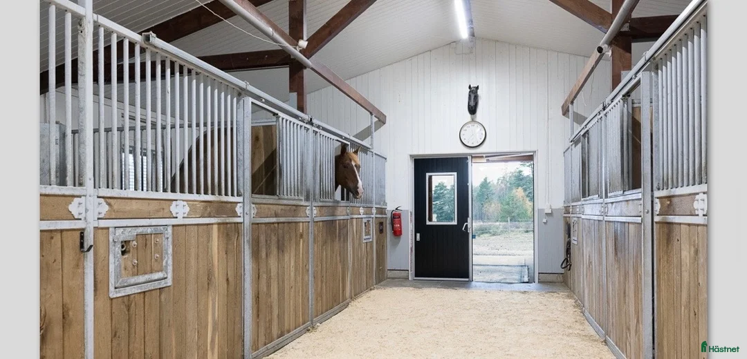  stallplats finnes: 🌿Semesteruppstallning på Steninge By –Equiworks🐴 - Annons 3