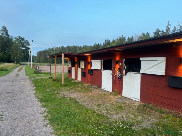stallplats i Edsbro - Annons 16