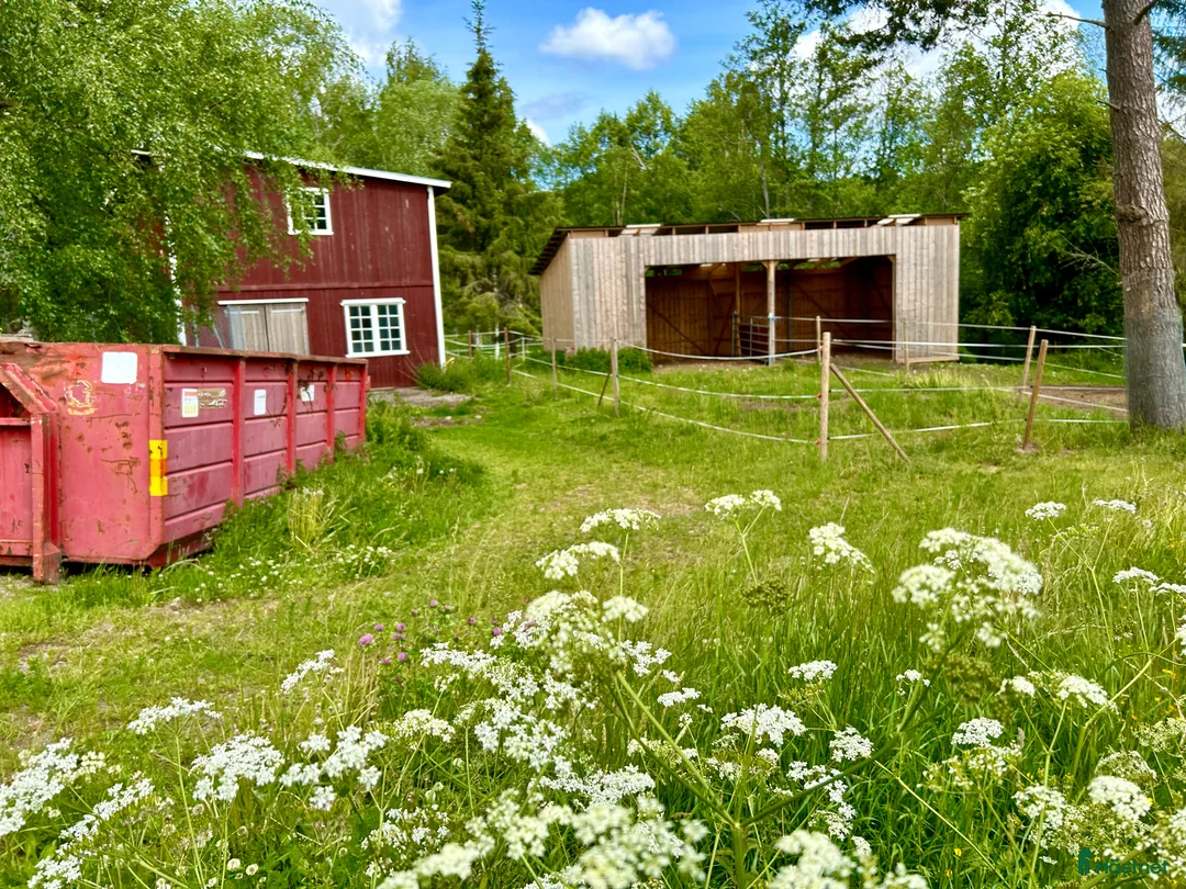 hästgårdar till salu: Perfekt för verksamhet / inackordering - Annons 11
