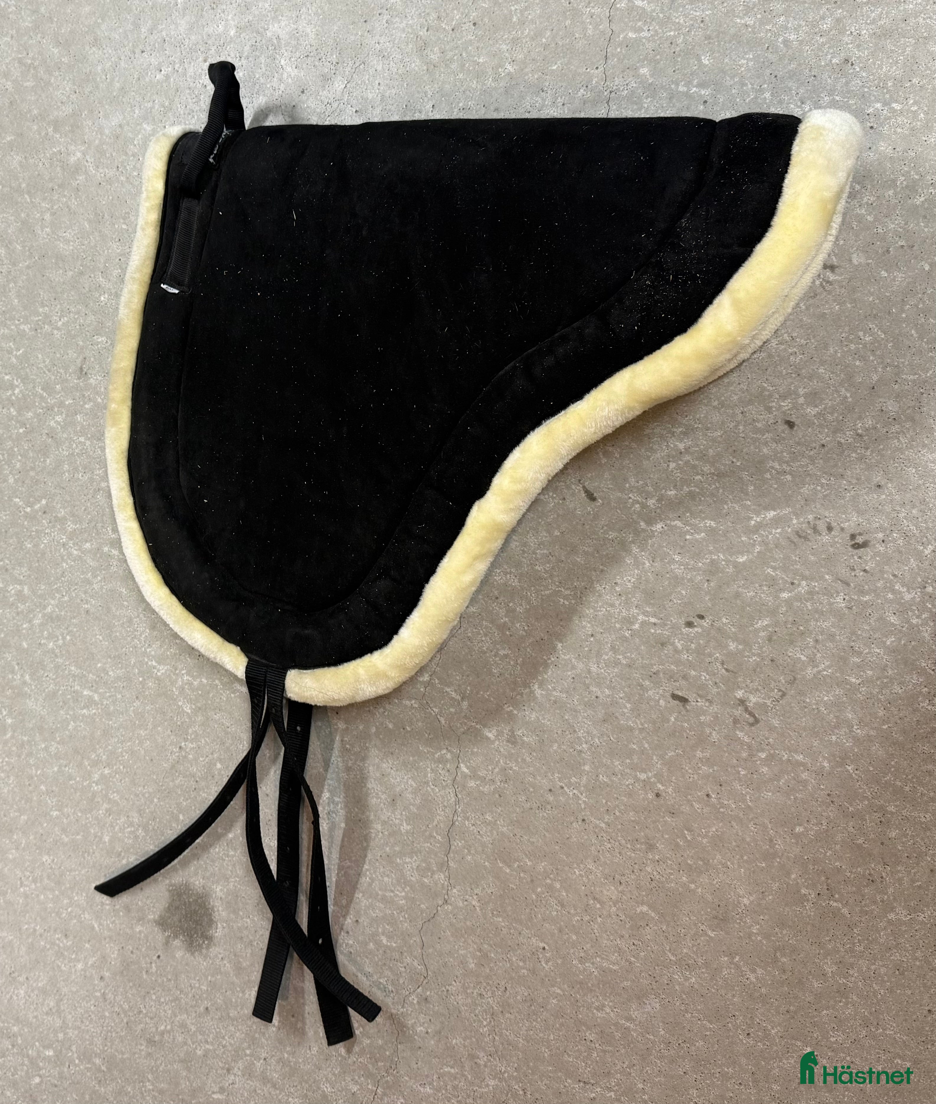 Övrig Hästutrustning hästutrustning till salu: Barbackapad och sadelgjord i Umeå - Annons 8