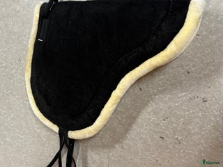 Övrig Hästutrustning hästutrustning till salu: Barbackapad och sadelgjord i Umeå - Annons 4