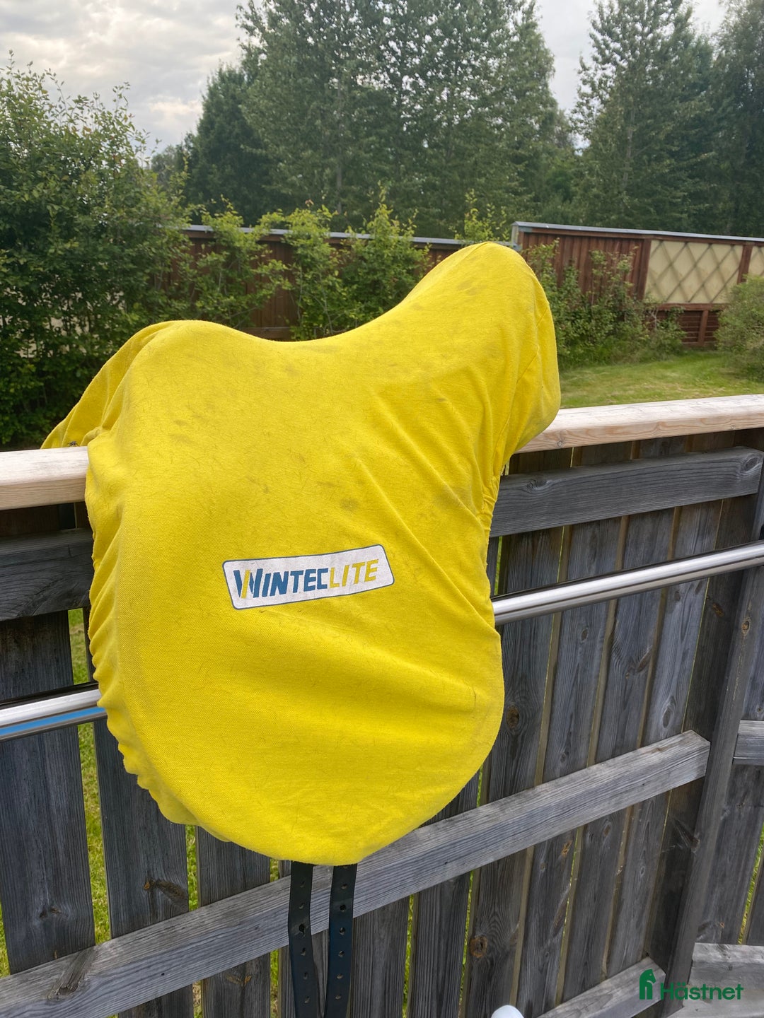 Sadlar hästutrustning till salu: Wintec Lite D’lux i Eneryda - Annons 5