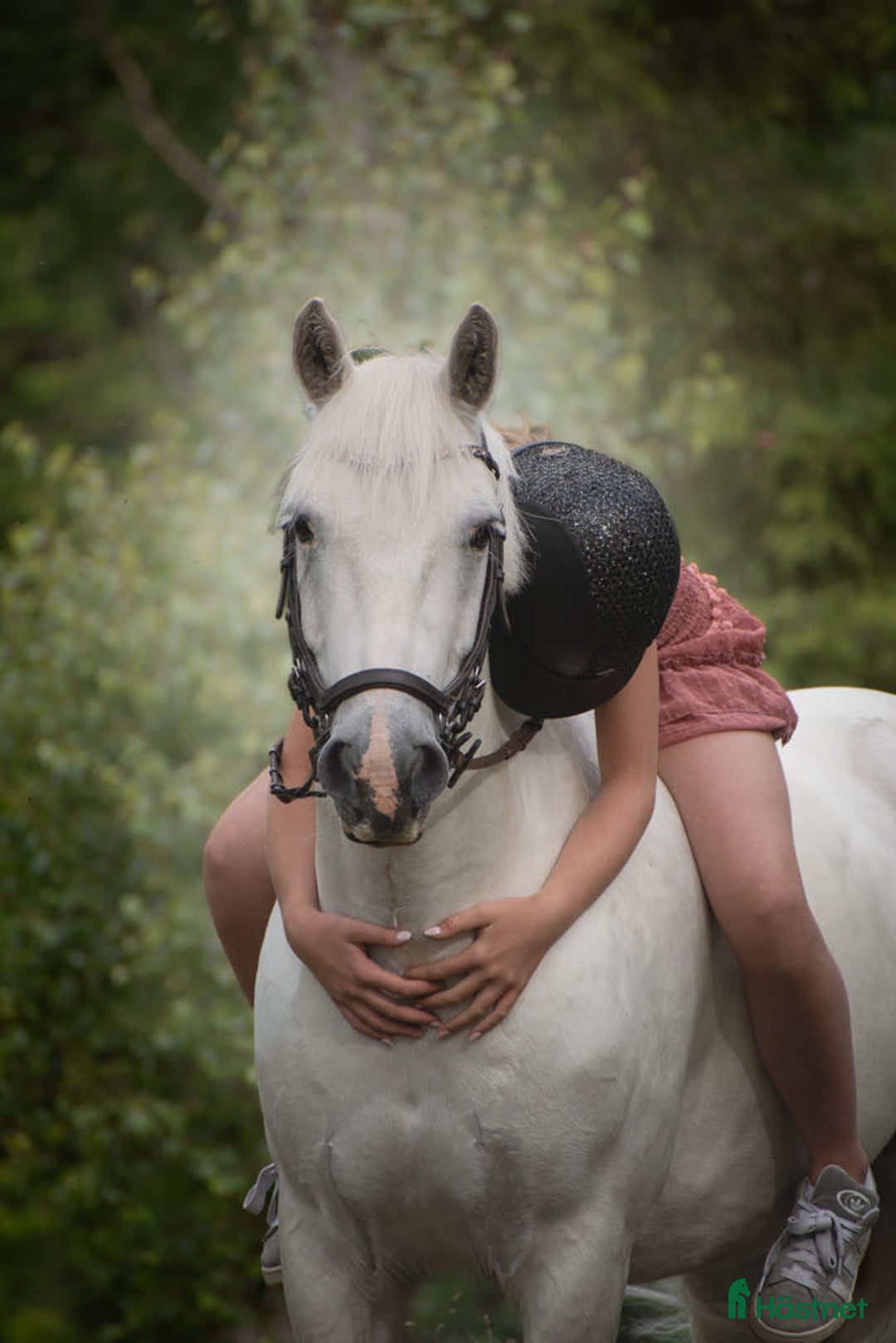 Hoppning hästar till salu: Pigg och framåt D-ponny i Forsheda - Annons 2