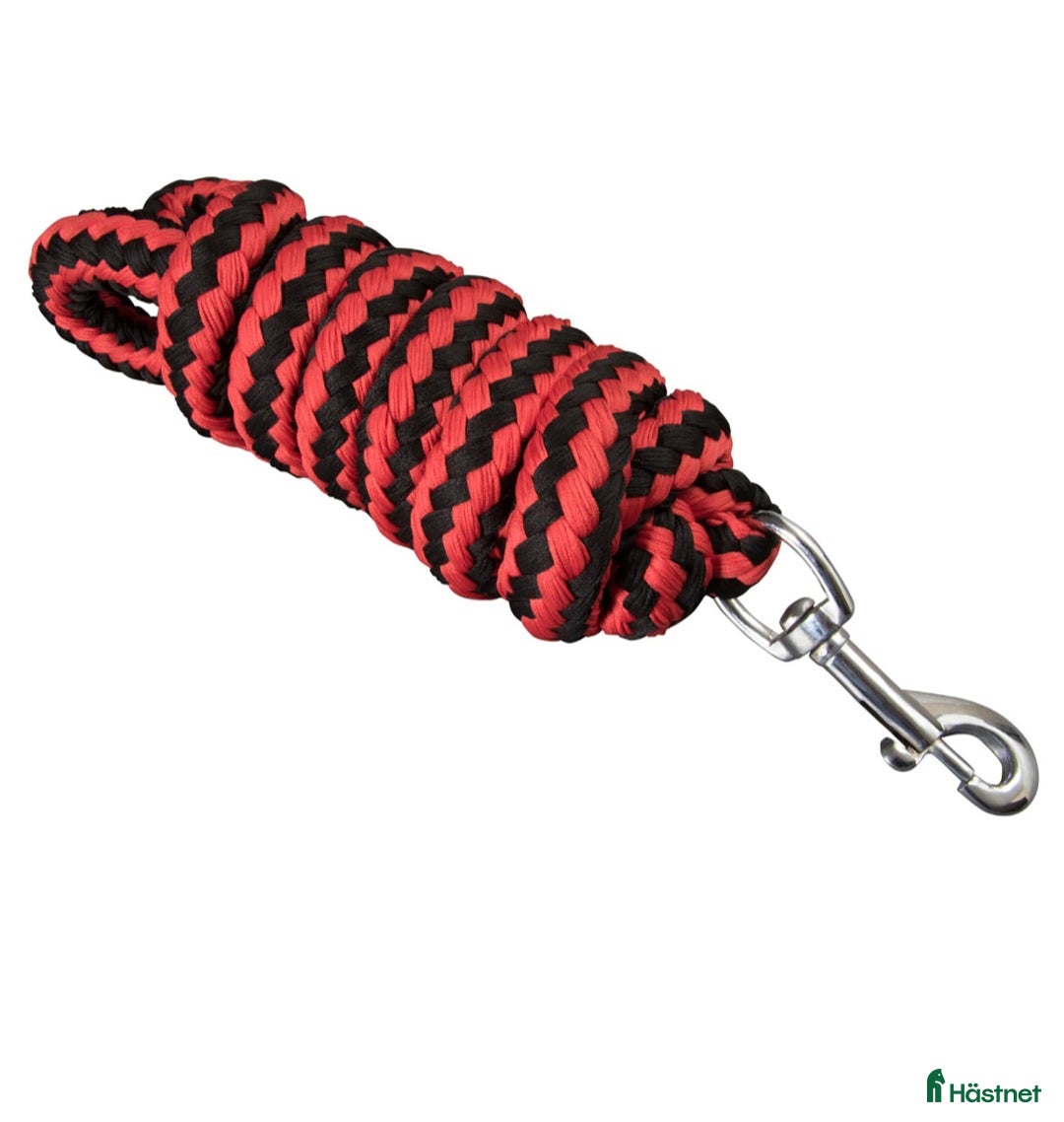 Islandshästutrustning övrig utrustning till salu: Lädergrimma - Annons 2