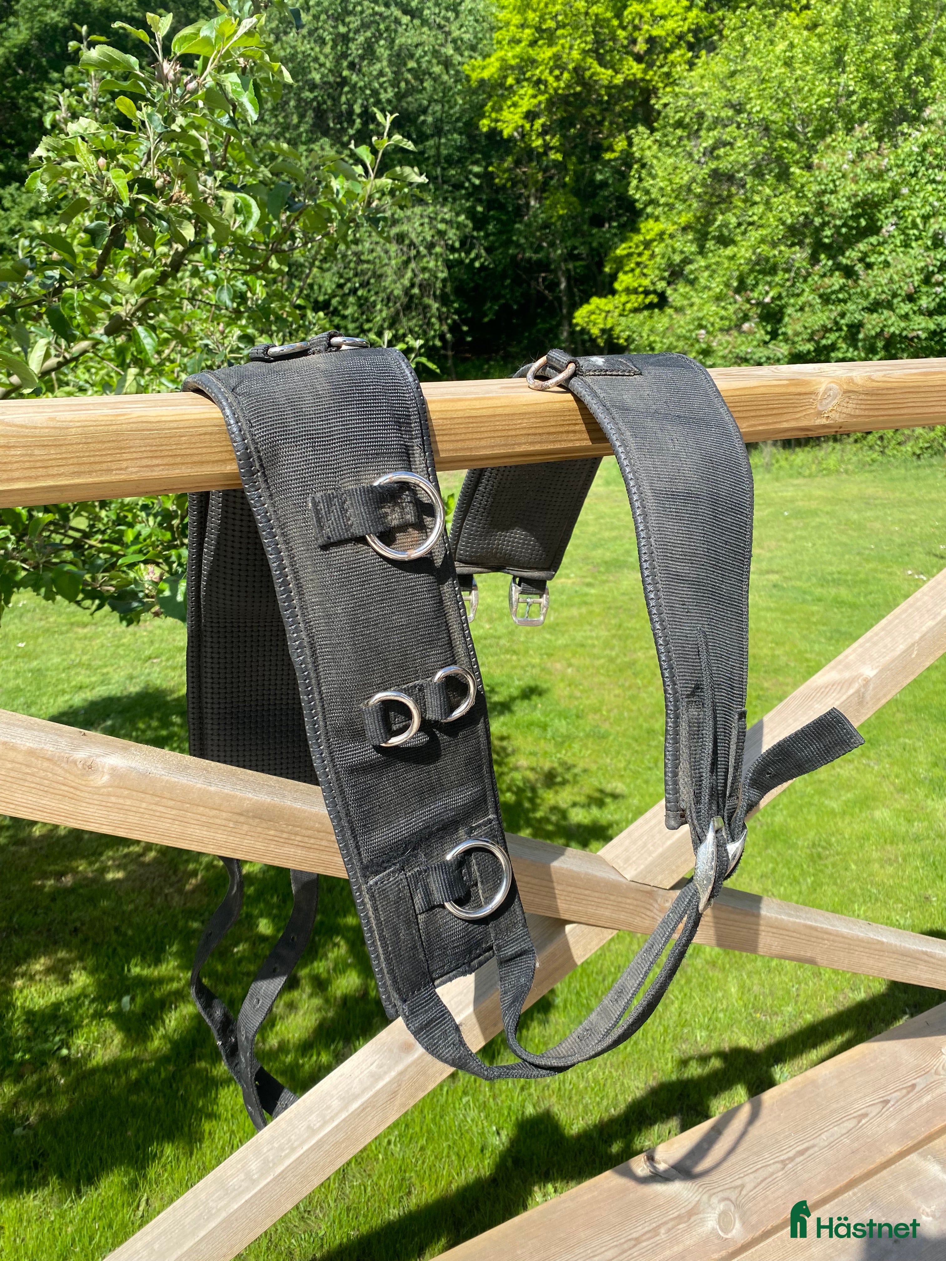 Övrig Hästutrustning hästutrustning till salu: Longerings gjord stl full i Skurup - Annons 7