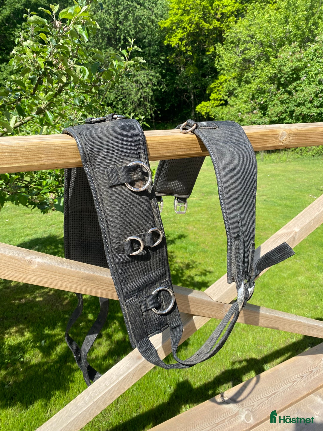 Övrig Hästutrustning hästutrustning till salu: Longerings gjord stl full i Skurup - Annons 1