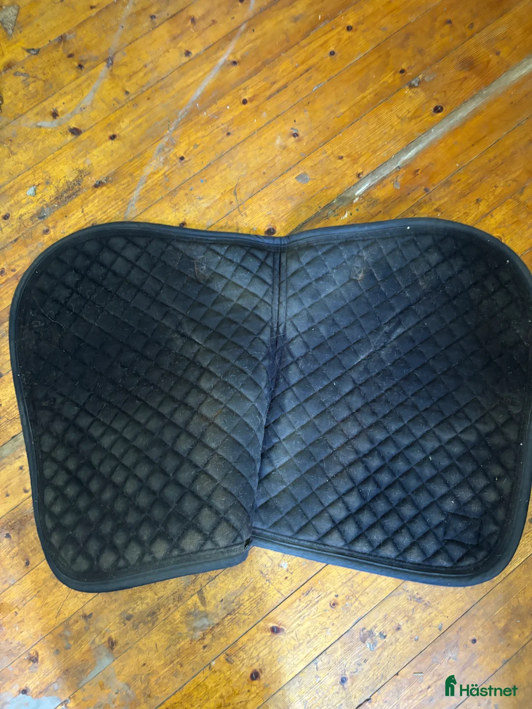 Schabrak & Vojlockar hästutrustning till salu: Fint Kingsland schabrak! - Annons 3