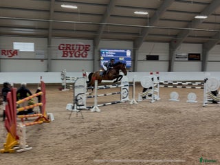 Hoppning hästar till salu: Magisk sprang hest, junior/youngrider i Aksdal - Annons 1