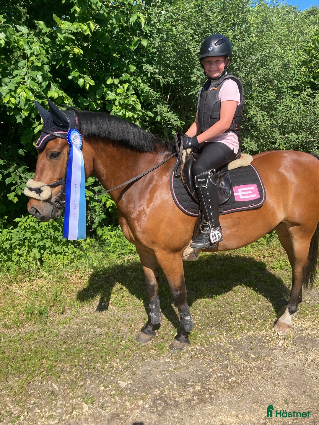 Allround hästar till salu: Bästa allroundponnyn/bästa kompisen  i Mörrum - Annons 3