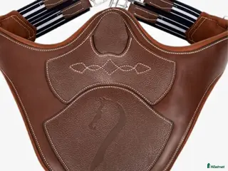 Sadeltillbehör hästutrustning Sökes en Antarés magplatta i Tavelsås - Annons 7