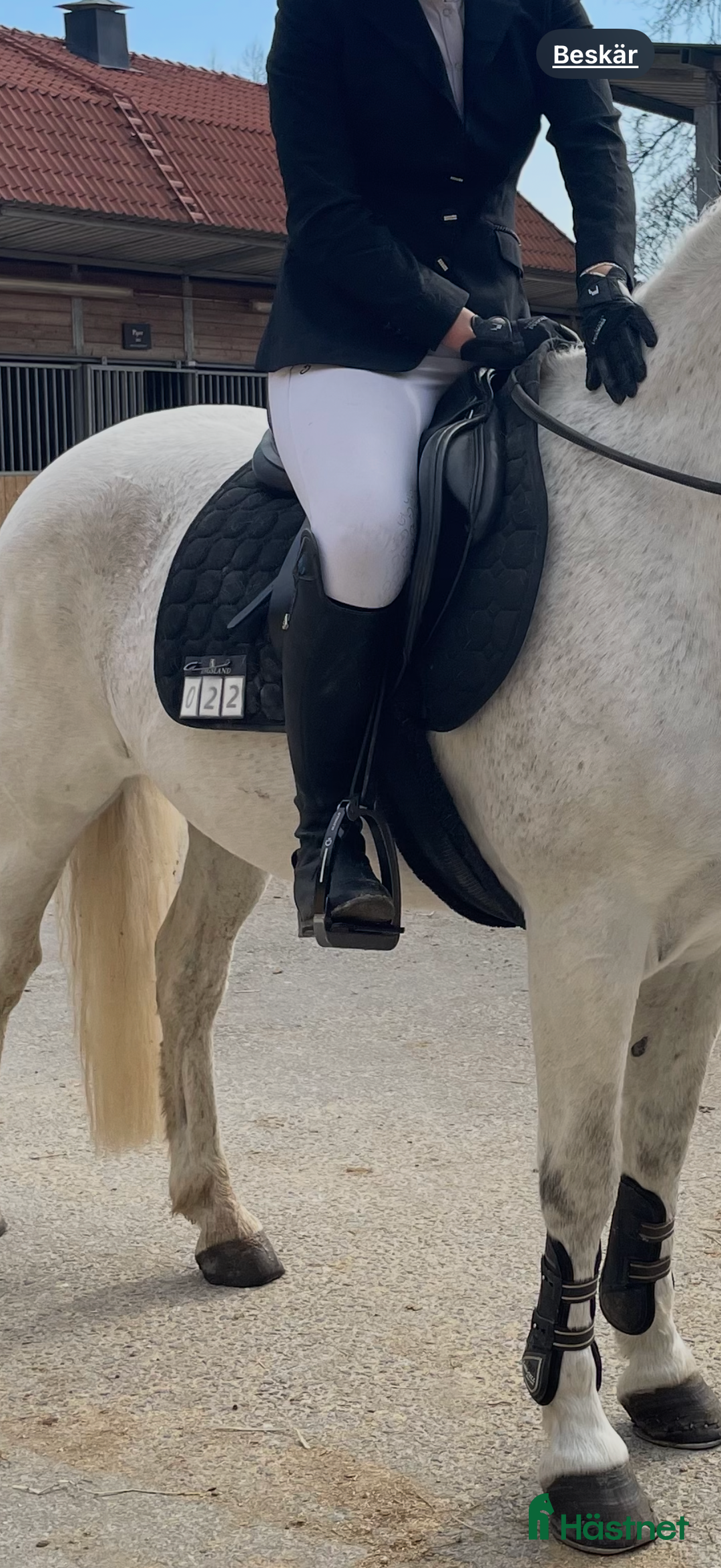 Schabrak & Vojlockar hästutrustning till salu: Equiline schabrak i Stockholm - Annons 1