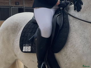 Schabrak & Vojlockar hästutrustning till salu: Equiline schabrak i Stockholm - Annons 21