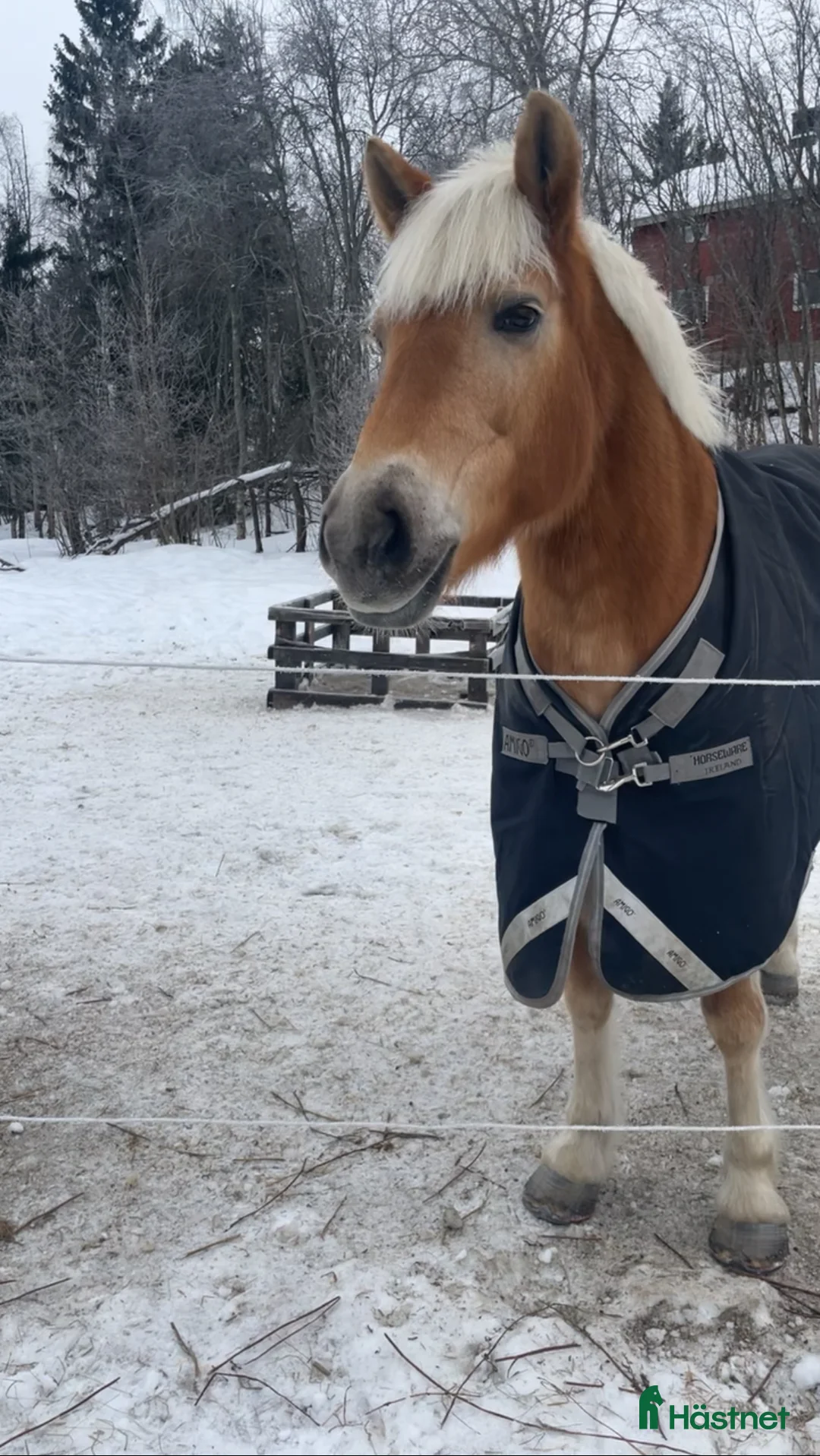 Galleribild {{count}}