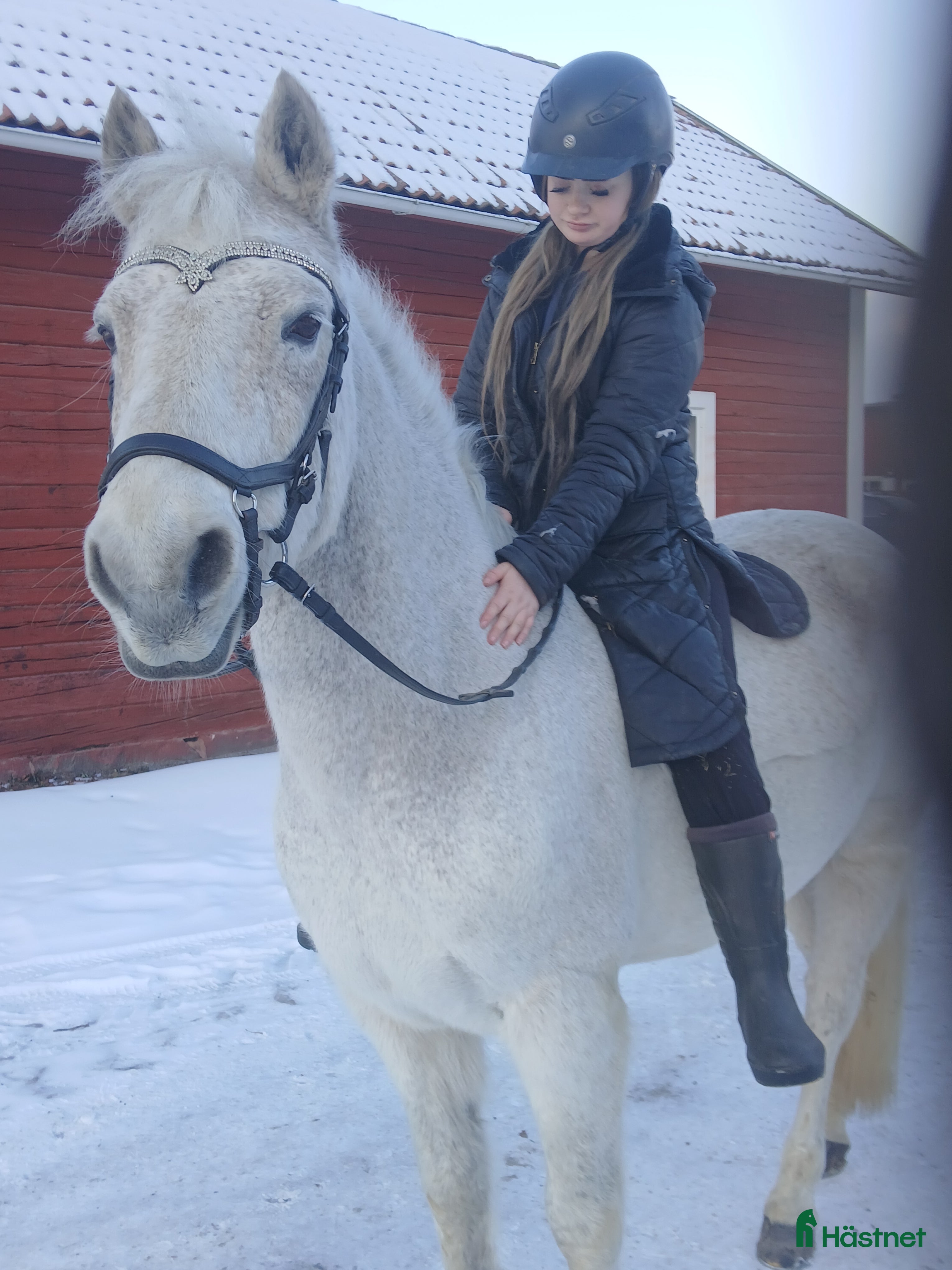  hästar Snäll d-ponny säljes i Nyköping - Annons 18