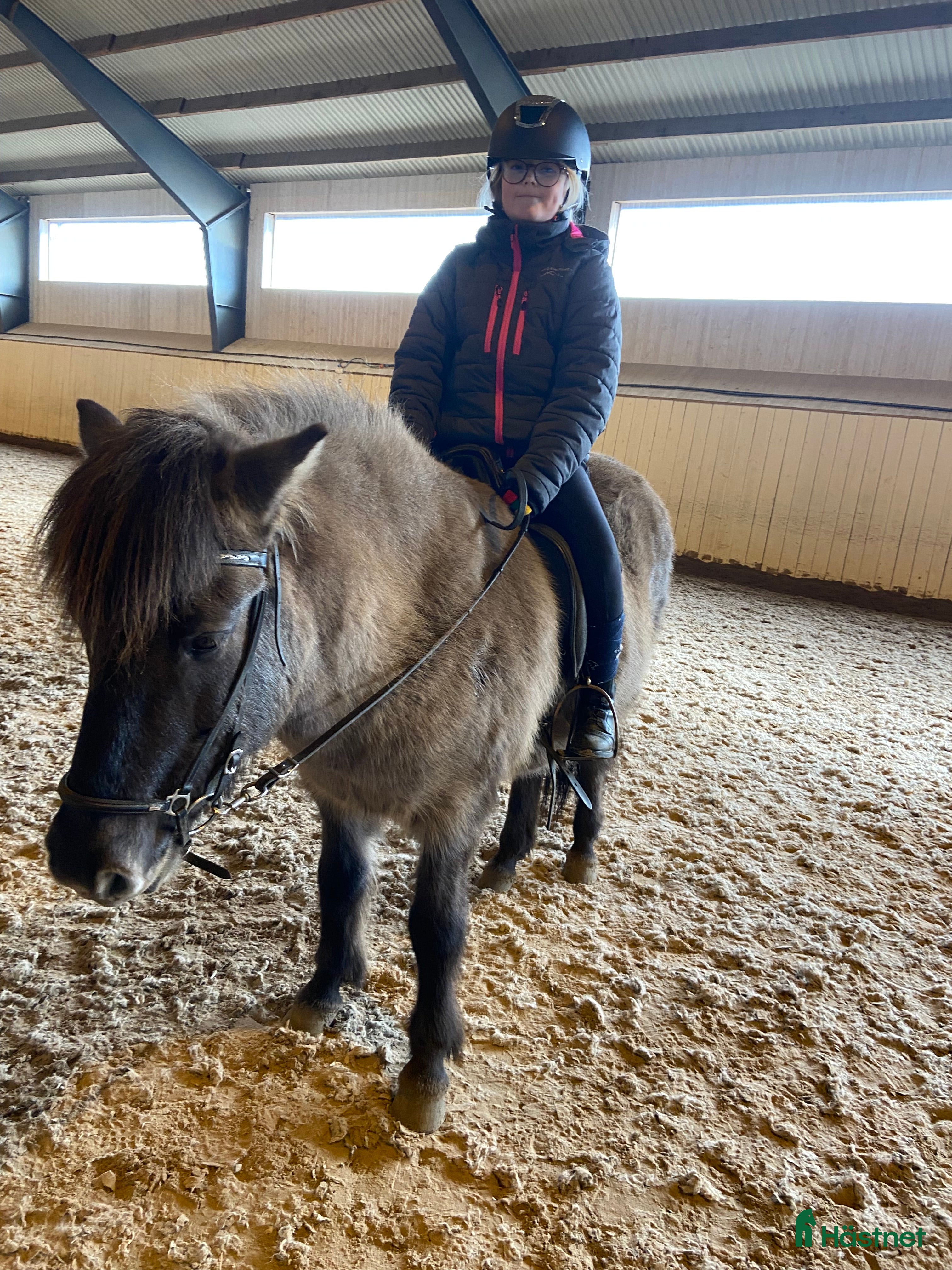  medryttarhäst sökes: Medryttarponny sökes i Härryda. i Hindås - Annons 23