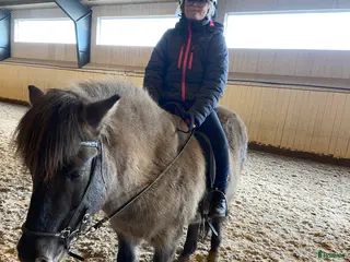 medryttarhäst sökes: Medryttarponny sökes i Härryda. i Hindås - Annons 23