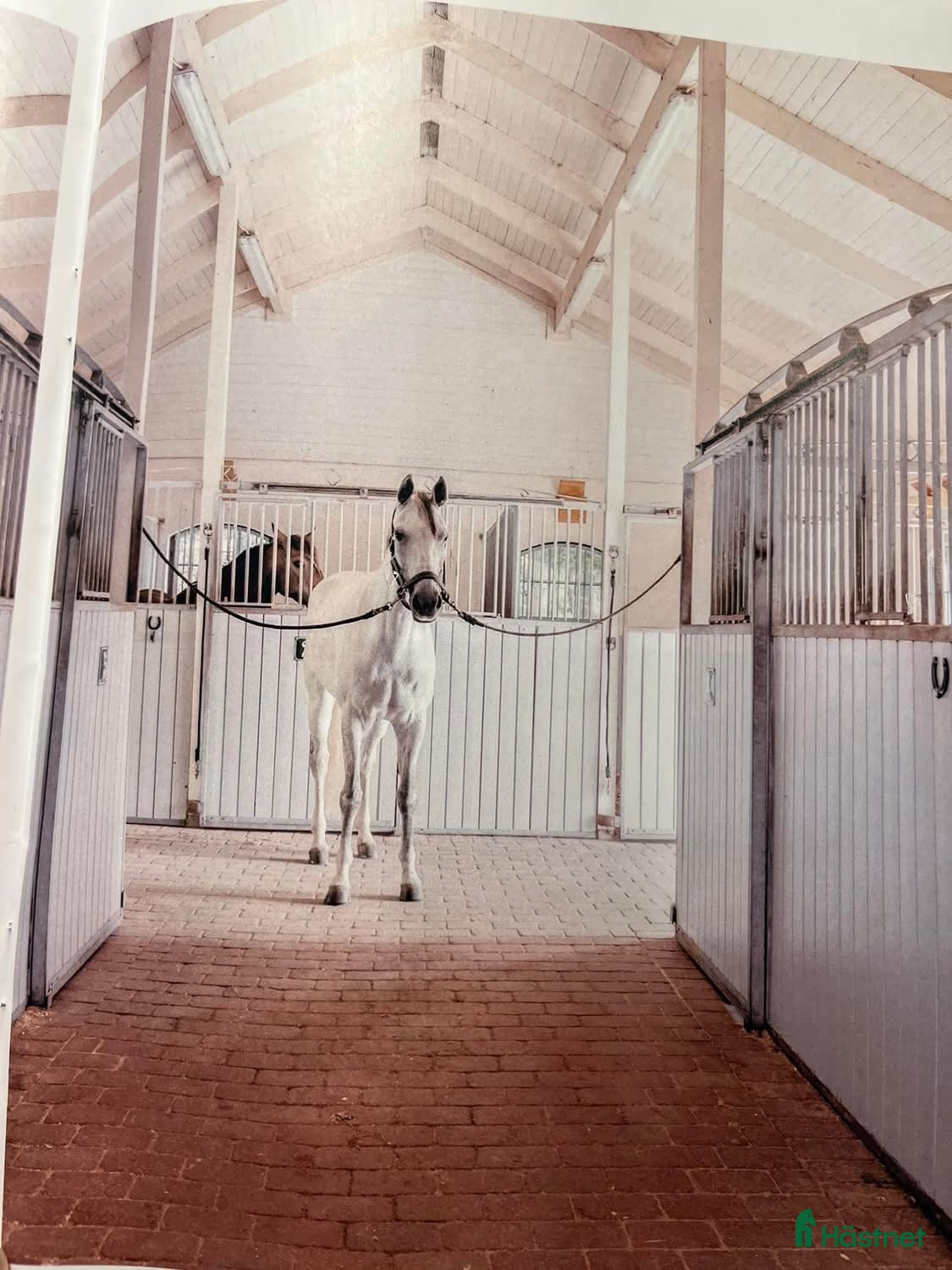  stallplats Stallplatser uthyres i Örby - Annons 13