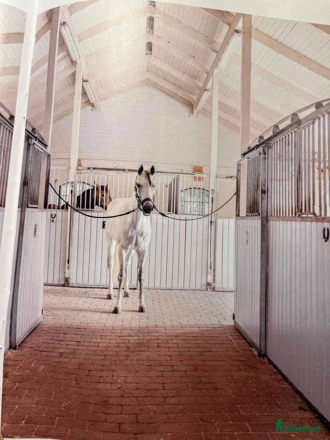  stallplats finnes: Stallplatser uthyres i Örby - Annons 1