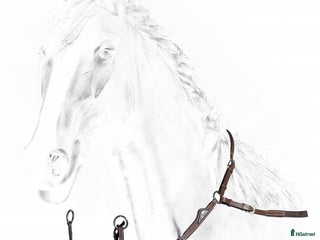 Sadeltillbehör hästutrustning till salu: Sprillans ny förbygel från equiline i Hästveda - Annons 2