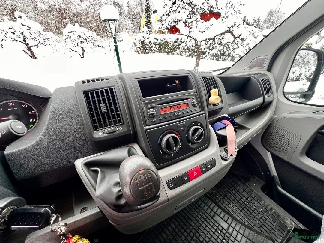 Hästlastbilar  fordon & transport till salu: Peugeot Boxer Equitrek B-kortslastbil - Annons 4