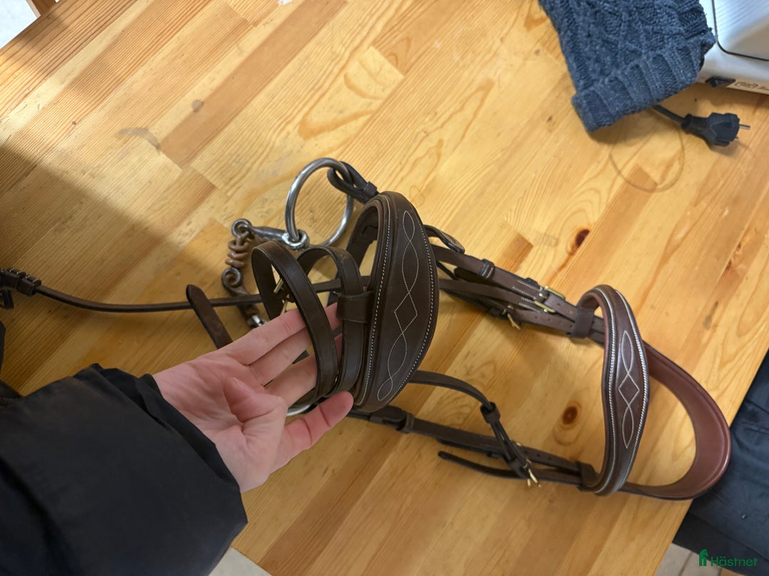 Träns hästutrustning till salu: Superfint Dyon träns! i Höllviken - Annons 3