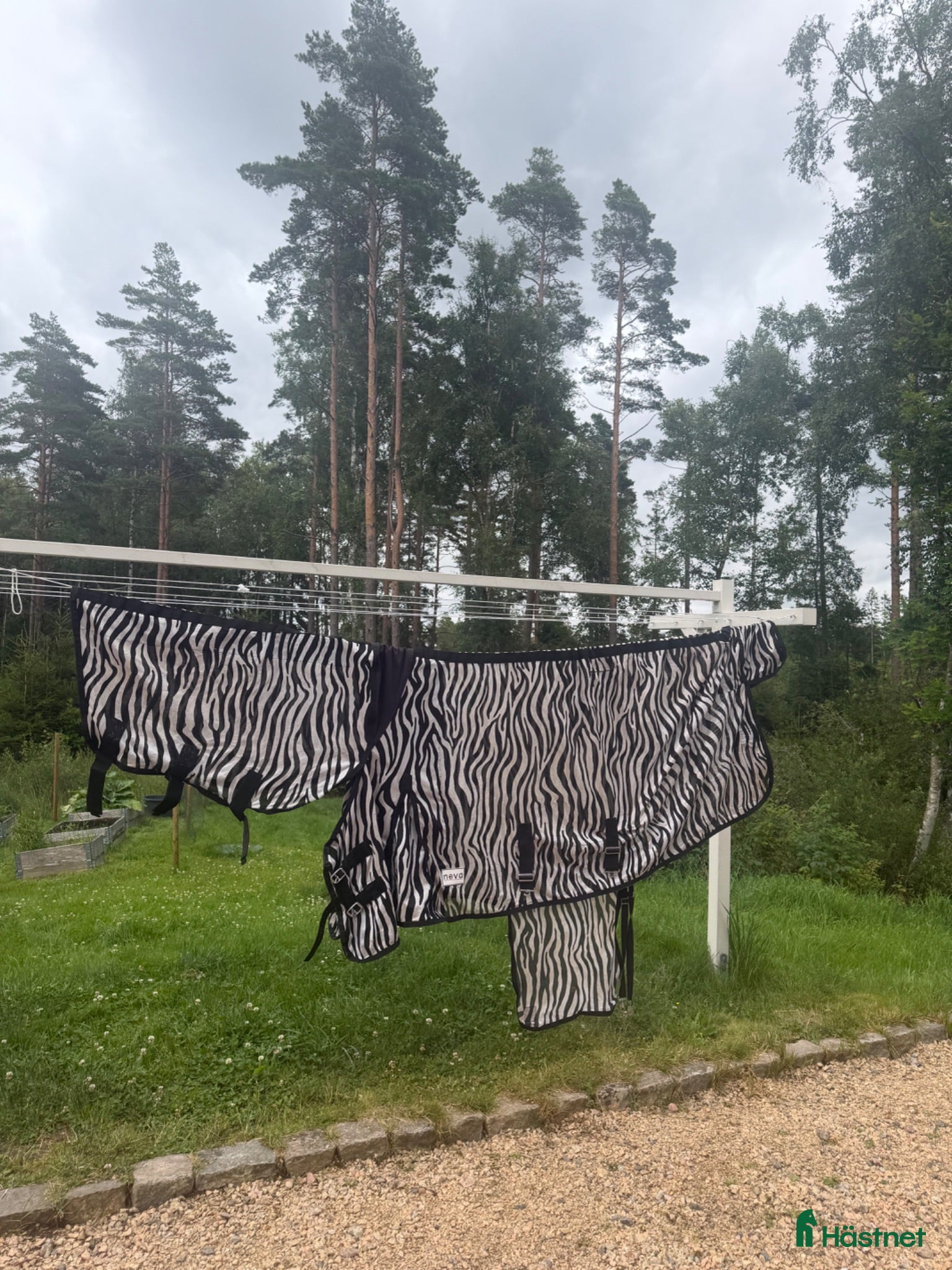 Täcken hästutrustning Zebra Flugtäcke - Annons 8