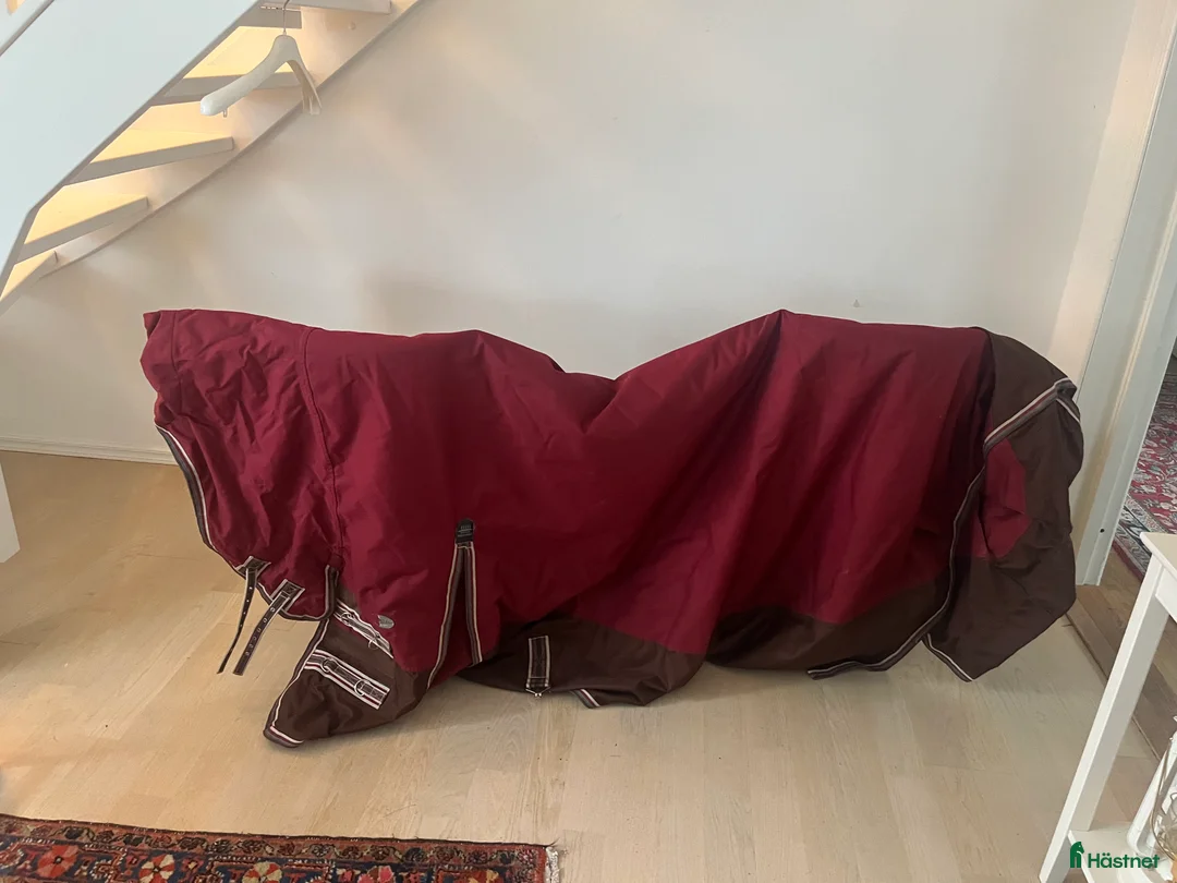 Täcken hästutrustning till salu: Hansbo täcke  i Trångsund - Annons 1