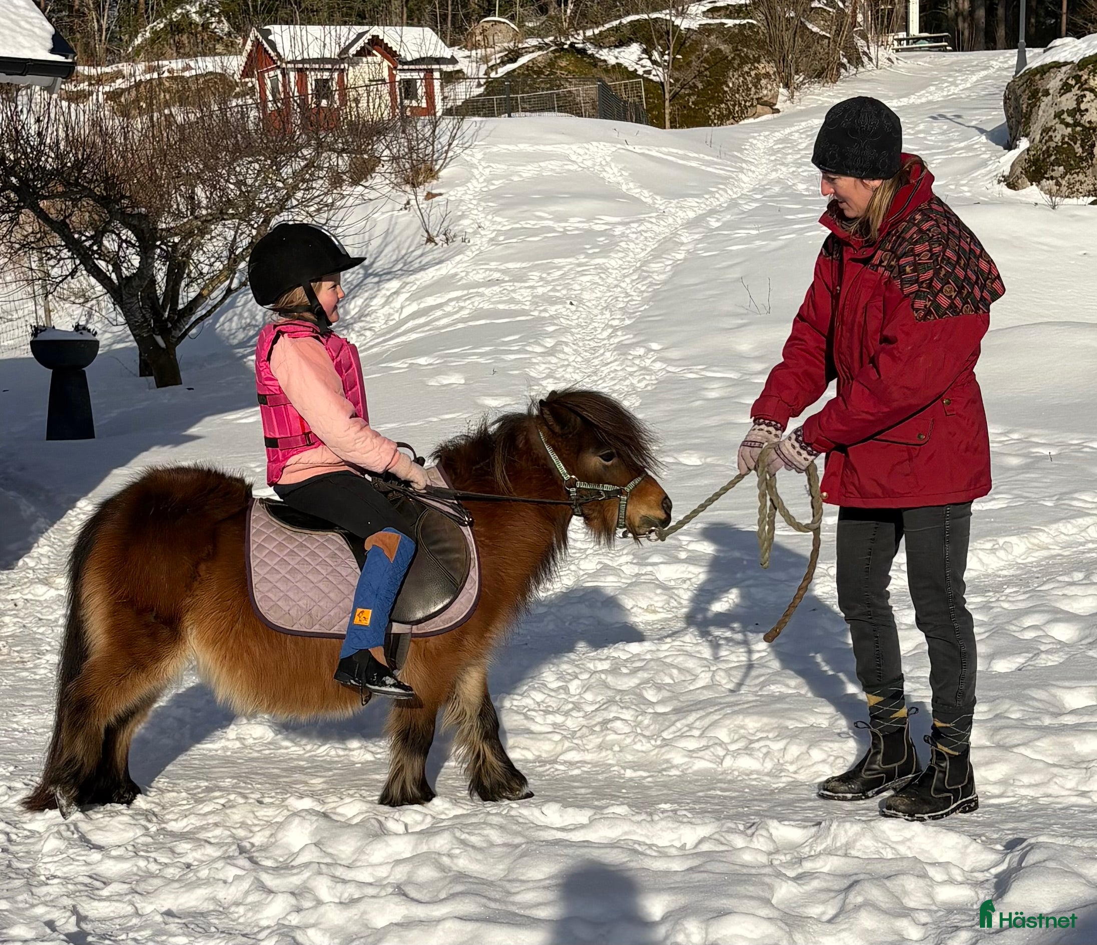  foderhäst Sommarponny? - Annons 2